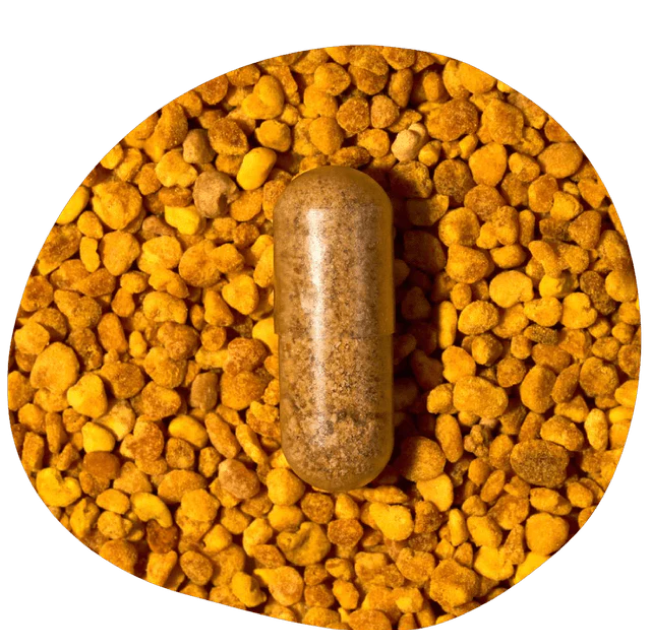 brain health supplements