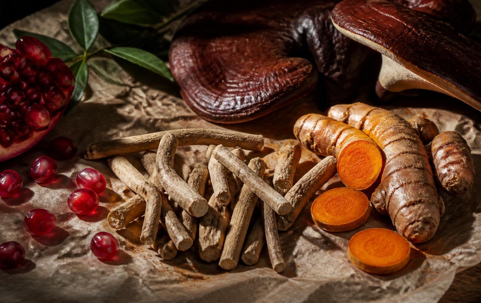 Adaptogens That Illuminate the Brain & Renew the Body